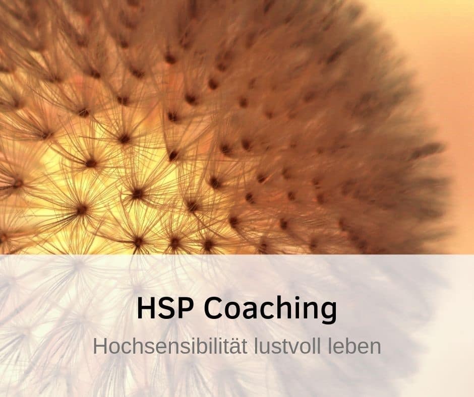 Teaserbild "HSP Coaching, Hochsensibilität lustvoll leben": Pusteblume im Gegenlicht