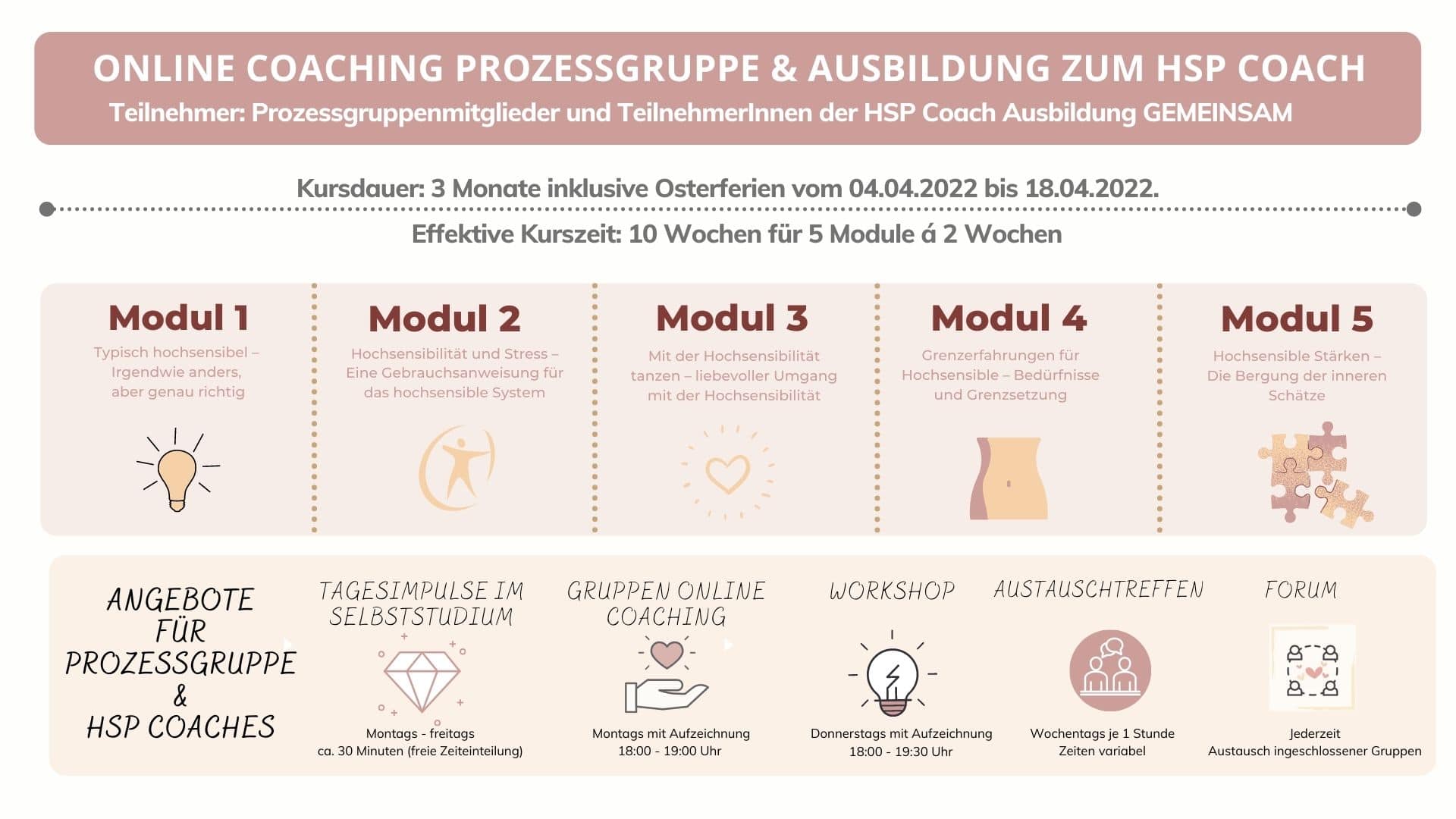 Online Coaching Prozessgruppe HSP Coach Uebersichtschart | Hochsensibilität und Trauma – Coaching, Seminare, Ausbildung |