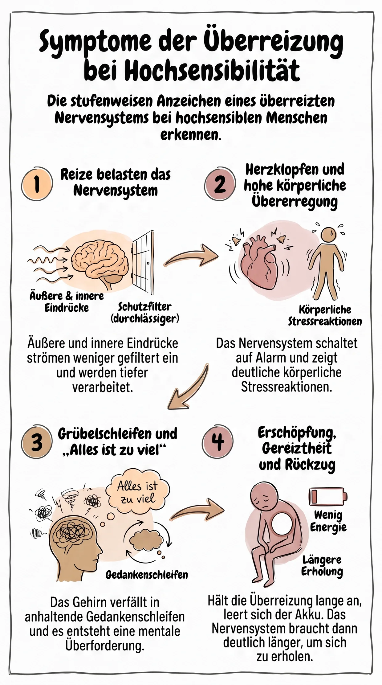 Wer die Stufen kennt, kann früher gegensteuern 🙂 Schaubild „Symptome der Überreizung bei Hochsensibilität“: die stufenweisen Anzeichen eines überreizten Nervensystems bei hochsensiblen Menschen erkennen. Stufe 1, Reize belasten das Nervensystem: Äußere und innere Eindrücke strömen weniger gefiltert ein und werden tiefer verarbeitet, gezeichnet als Gehirn hinter einem durchlässigeren Schutzfilter. Stufe 2, Herzklopfen und hohe körperliche Übererregung: Das Nervensystem schaltet auf Alarm und zeigt deutliche körperliche Stressreaktionen. Stufe 3, Grübelschleifen und „Alles ist zu viel“: Das Gehirn verfällt in anhaltende Gedankenschleifen und es entsteht eine mentale Überforderung. Stufe 4, Erschöpfung, Gereiztheit und Rückzug: Hält die Überreizung lange an, leert sich der Akku; das Nervensystem braucht dann deutlich länger, um sich zu erholen.